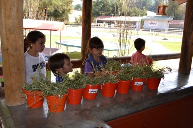taller de plantas